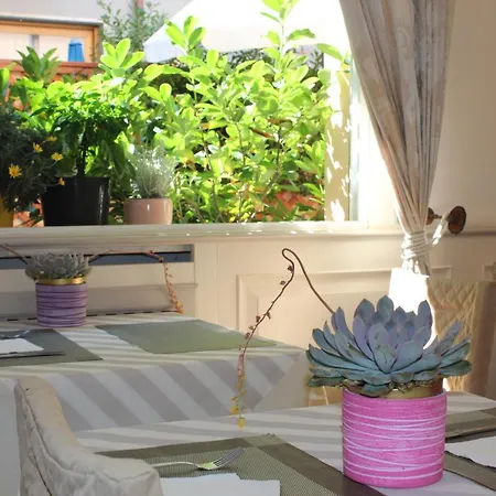 Tahiti Viareggio